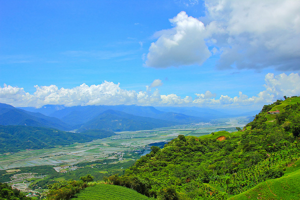 六十石山：[遊記]【花蓮富里鄉】六十石山。徜徉於金針花海