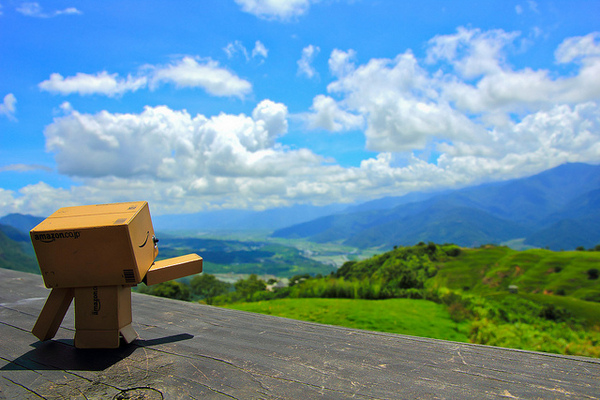 六十石山：[遊記]【花蓮富里鄉】六十石山。徜徉於金針花海