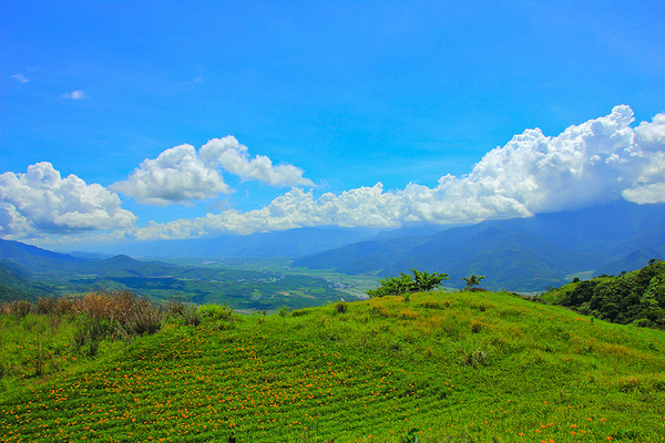 六十石山：[遊記]【花蓮富里鄉】六十石山。徜徉於金針花海