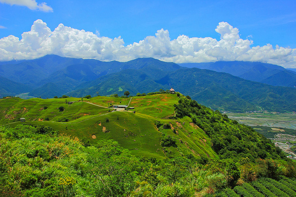 六十石山：[遊記]【花蓮富里鄉】六十石山。徜徉於金針花海
