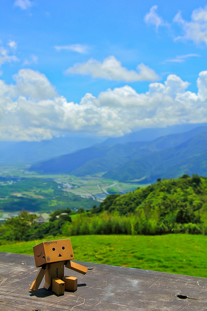 六十石山：[遊記]【花蓮富里鄉】六十石山。徜徉於金針花海