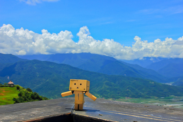 六十石山：[遊記]【花蓮富里鄉】六十石山。徜徉於金針花海