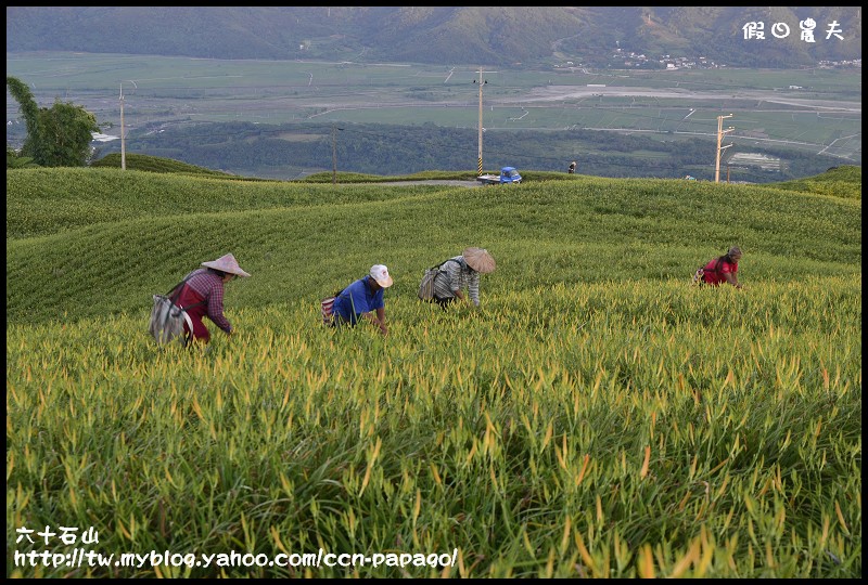六十石山_DSC7504