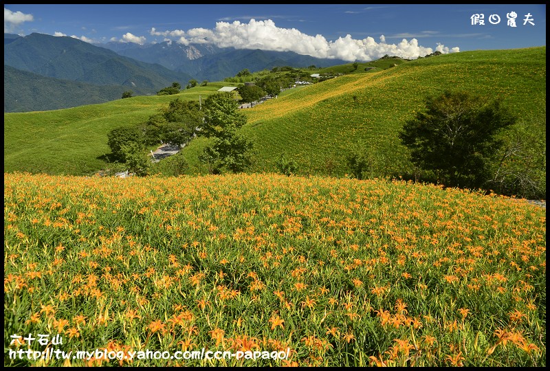 六十石山_DSC7783