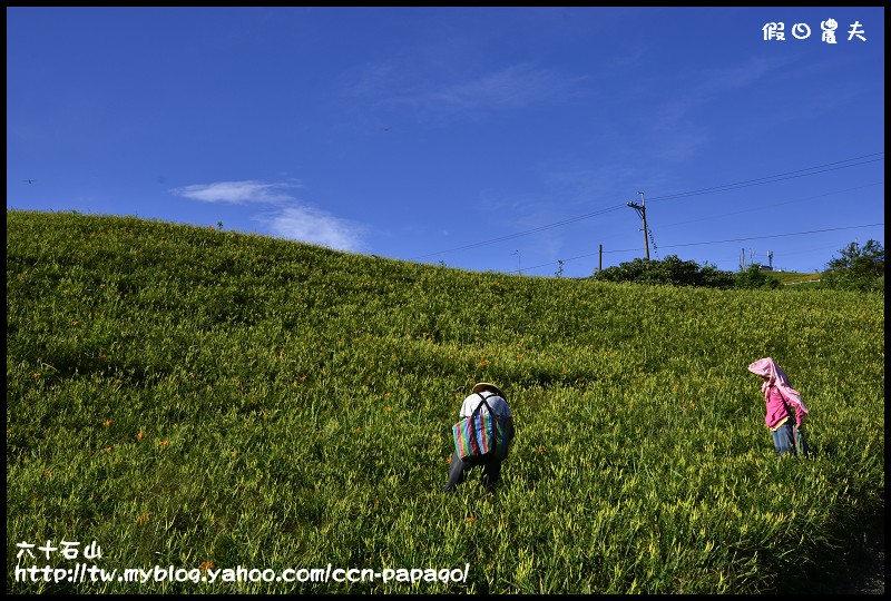 六十石山_DSC7659