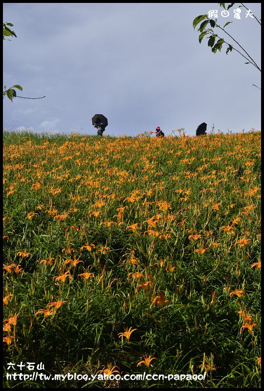 六十石山_DSC7749