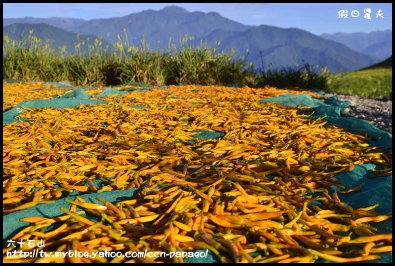 六十石山_DSC7639