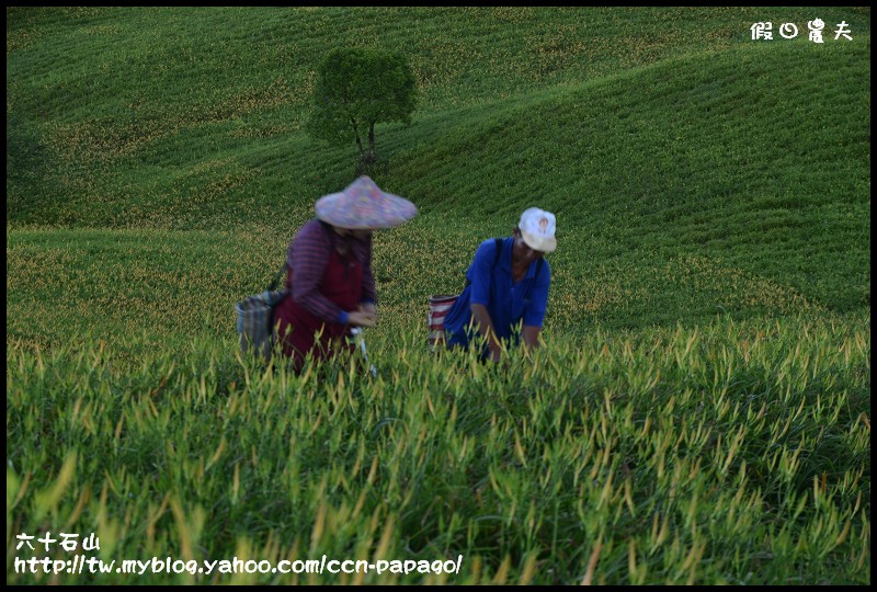 六十石山_DSC7492