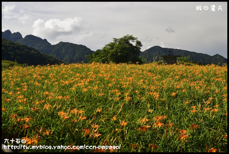 六十石山_DSC7674