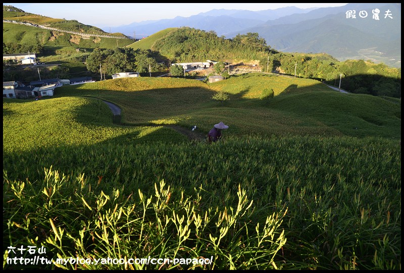 六十石山_DSC7569
