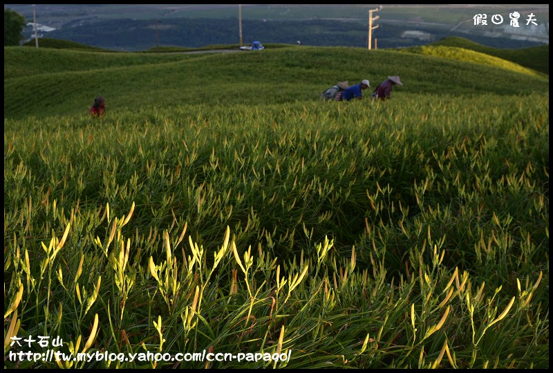 六十石山_DSC7516