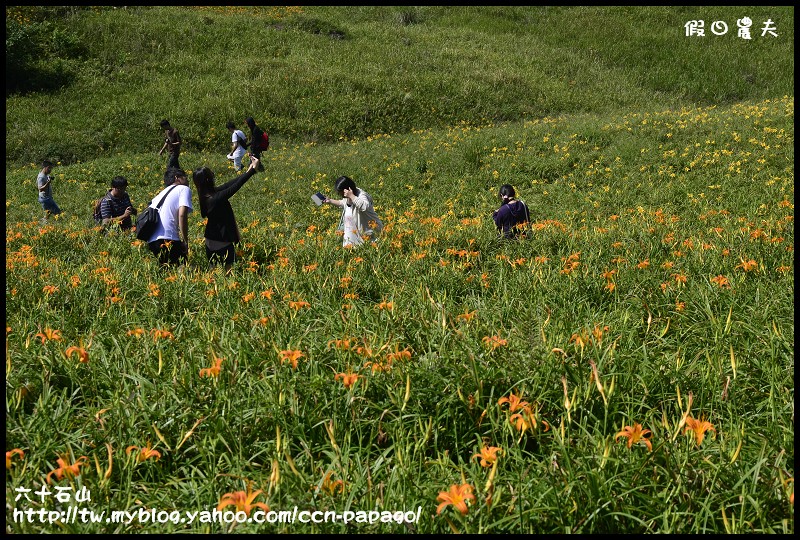 六十石山_DSC7801