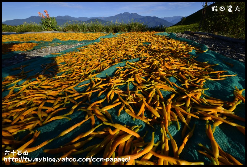 六十石山_DSC7642
