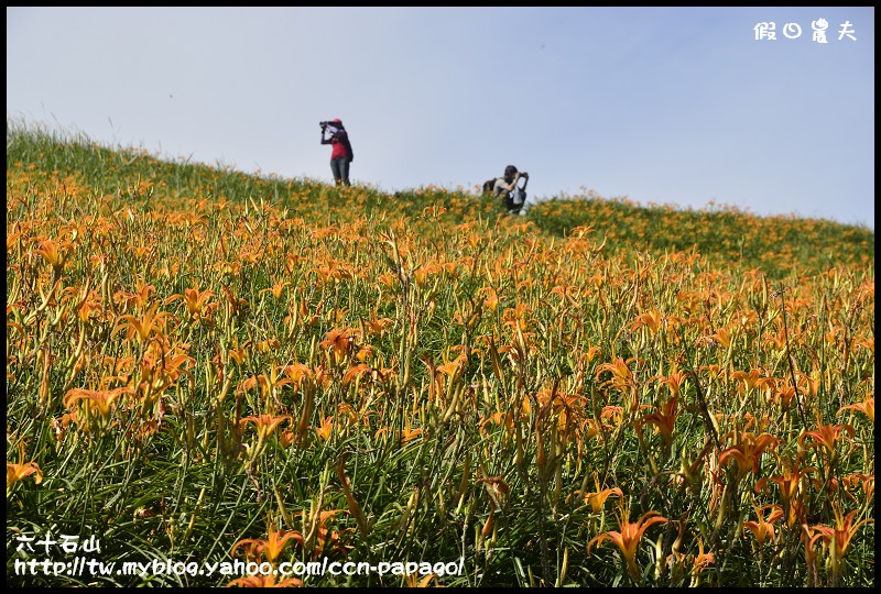 六十石山_DSC7759