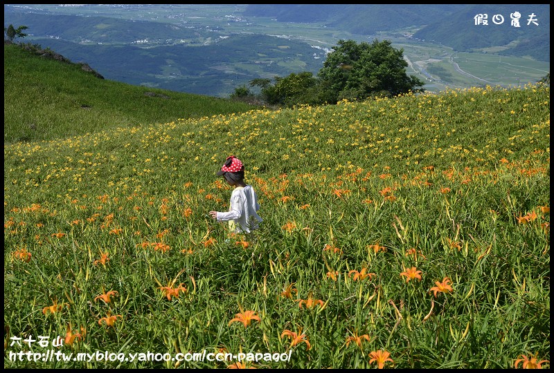 六十石山_DSC7800