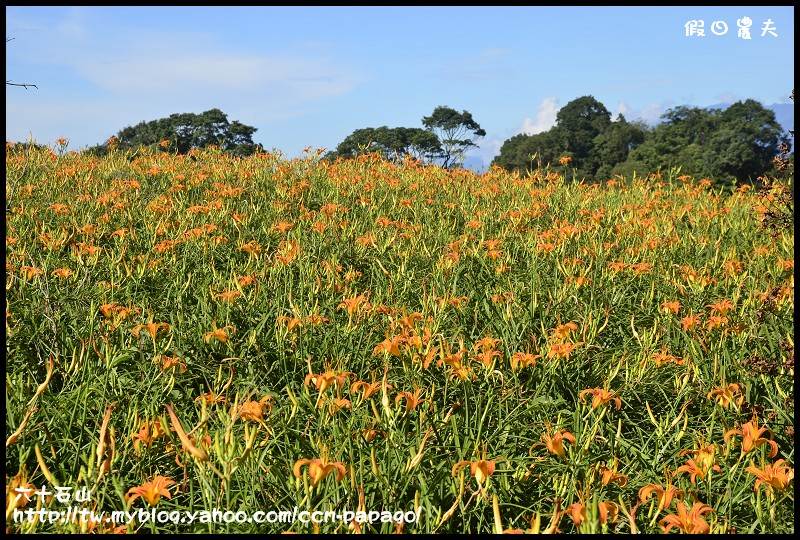 六十石山_DSC7678