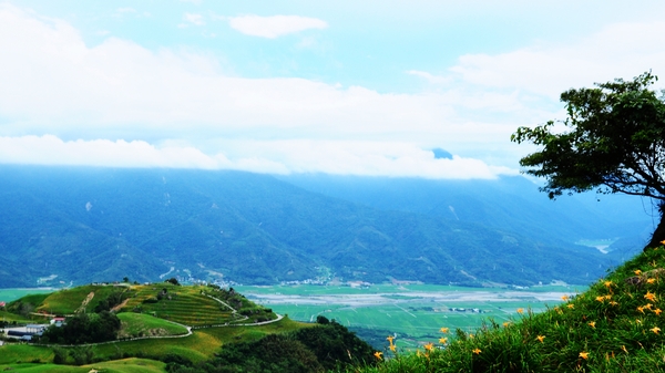 六十石山：花蓮．六十石山．與一億朵金針花海相遇
