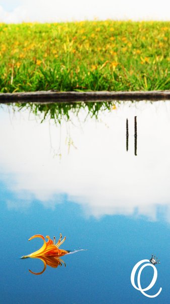 六十石山：花蓮．六十石山．與一億朵金針花海相遇