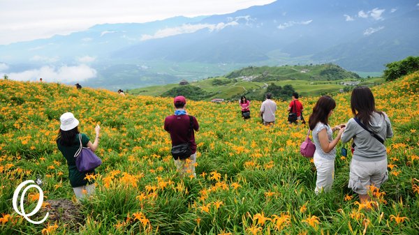 六十石山：花蓮．六十石山．與一億朵金針花海相遇