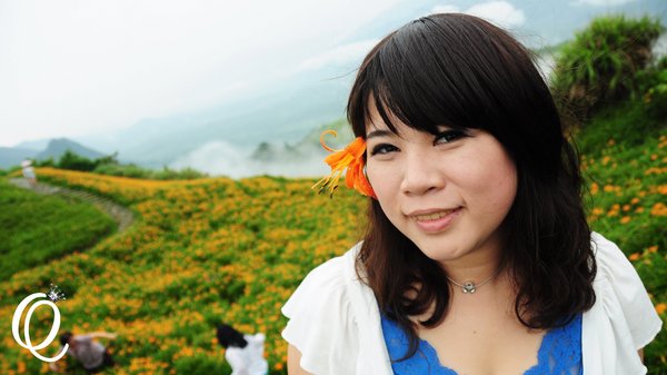 六十石山：花蓮．六十石山．與一億朵金針花海相遇