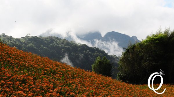 六十石山：花蓮．六十石山．與一億朵金針花海相遇