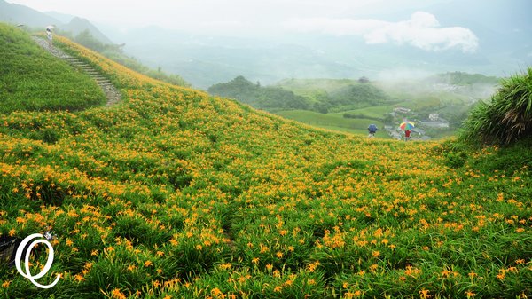 六十石山：花蓮．六十石山．與一億朵金針花海相遇