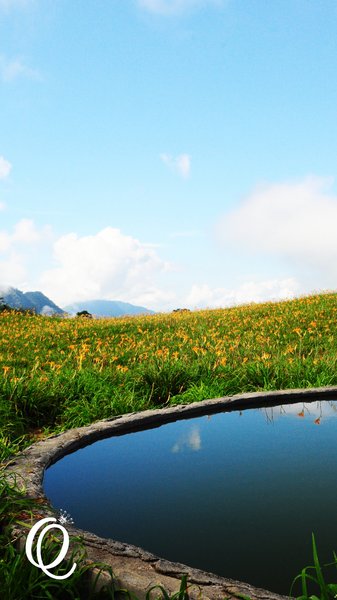 六十石山：花蓮．六十石山．與一億朵金針花海相遇