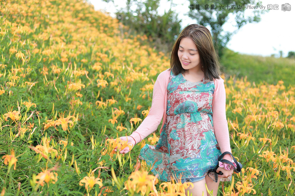 2016.08.27~花蓮 富里 六十石山 金針花海