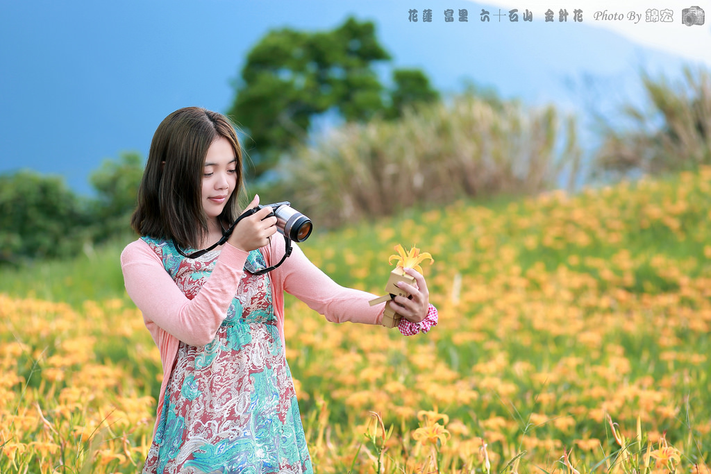 2016.08.27~花蓮 富里 六十石山 金針花海