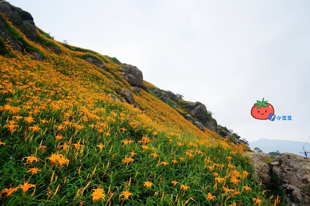 2016 花蓮 富里 六十石山 小瑞士