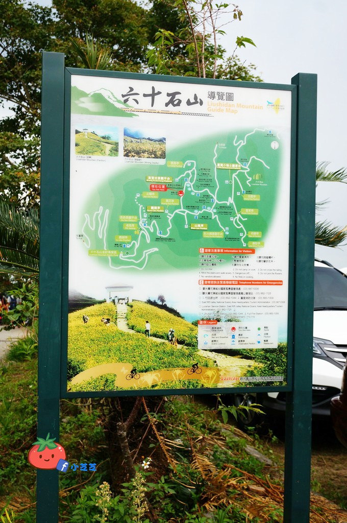 2016 花蓮 富里 六十石山 小瑞士