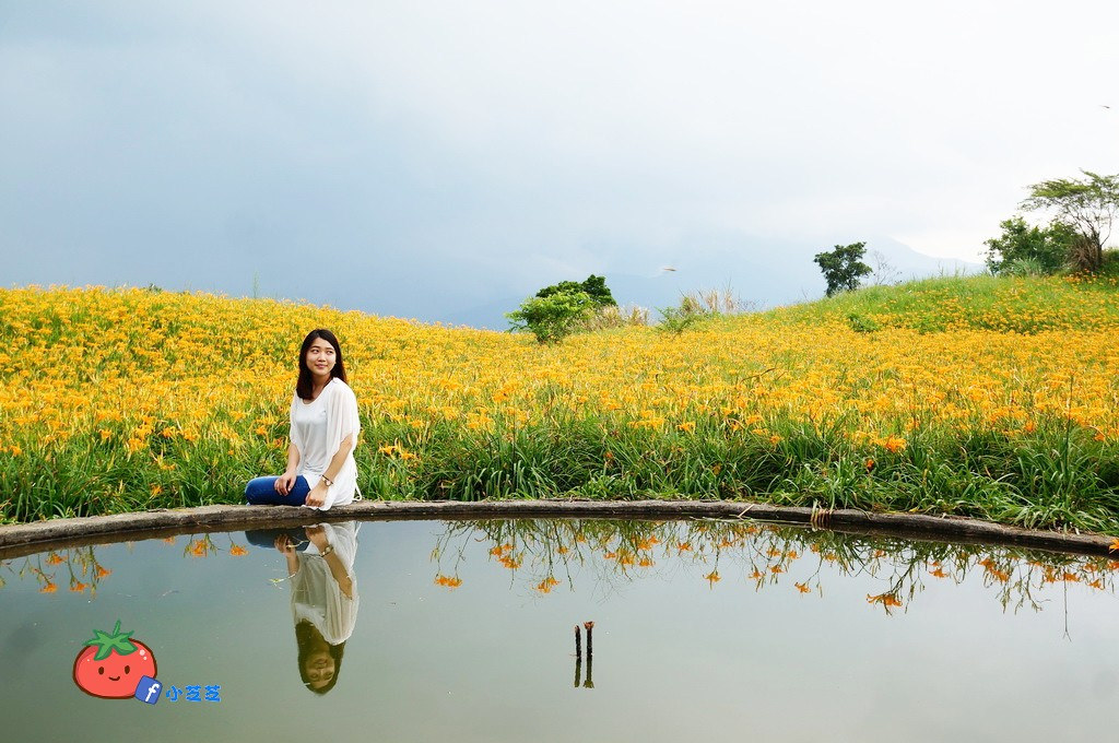 2016 花蓮 富里 六十石山 小瑞士