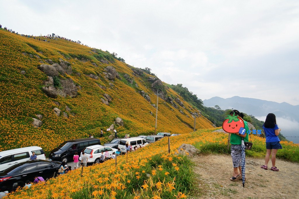 2016 花蓮 富里 六十石山 小瑞士