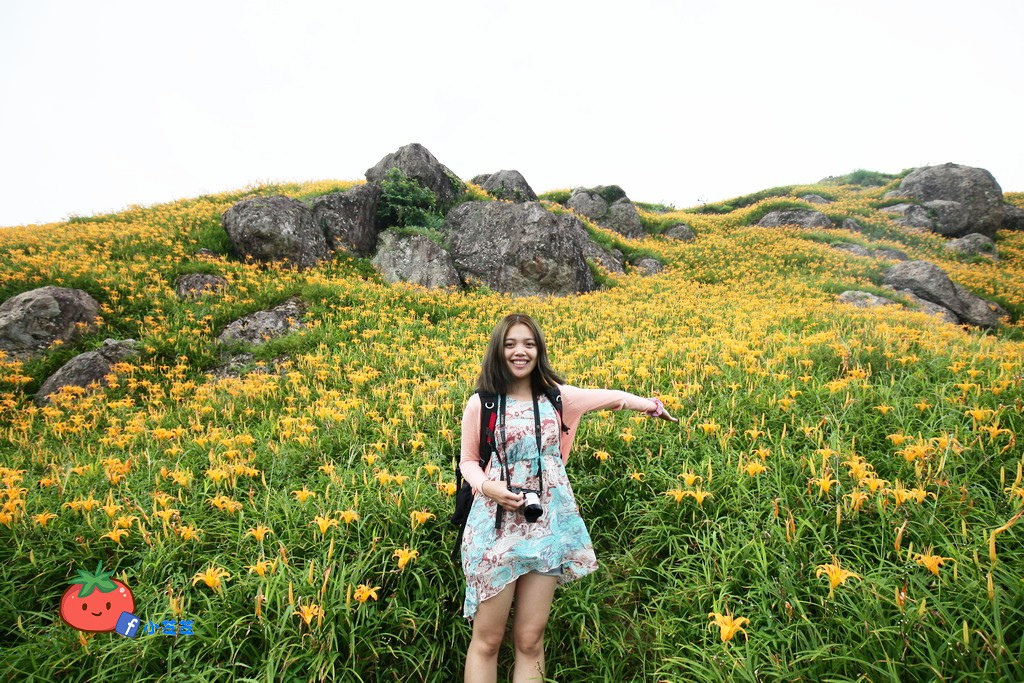 2016 花蓮 富里 六十石山 小瑞士