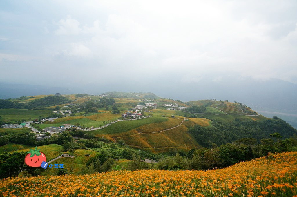 2016 花蓮 富里 六十石山 小瑞士