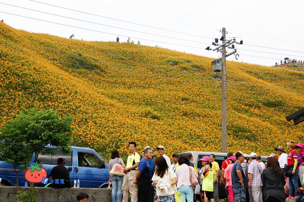 2016 花蓮 富里 六十石山 小瑞士