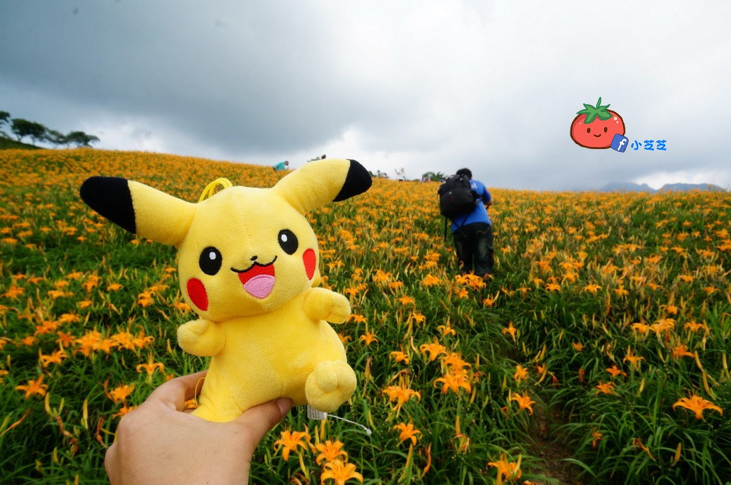 2016 花蓮 富里 六十石山 小瑞士