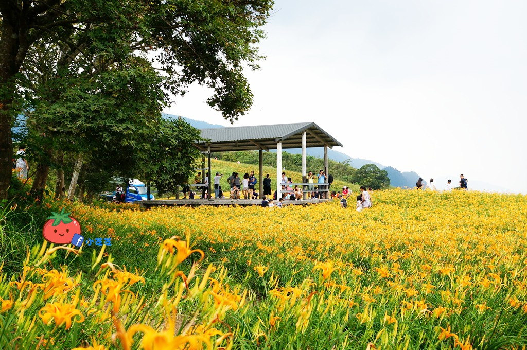 2016 花蓮 富里 六十石山 小瑞士