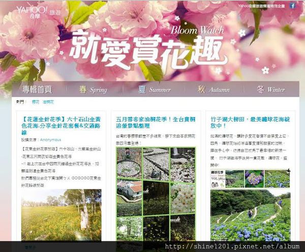 上雅虎專輯金針花