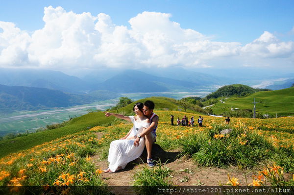 花蓮六十石山金針花海 花蓮六十石山金針花海