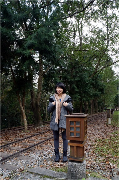 林田山林業文化園區：[花蓮爆點一日遊]花蓮 林田山文化林場~沉浸檜木香於小九份