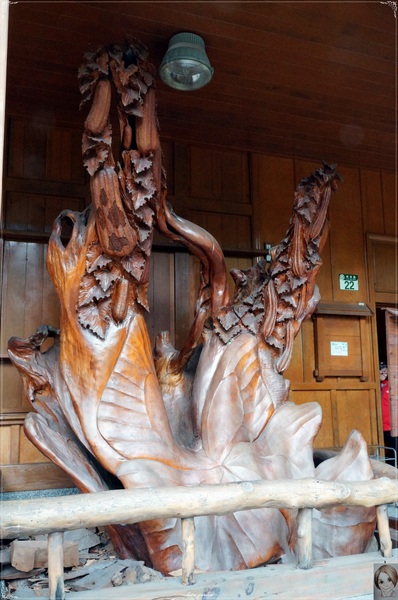 林田山林業文化園區：[花蓮爆點一日遊]花蓮 林田山文化林場~沉浸檜木香於小九份