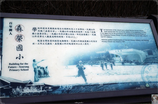 林田山林業文化園區：[花蓮爆點一日遊]花蓮 林田山文化林場~沉浸檜木香於小九份