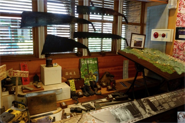 林田山林業文化園區：[花蓮爆點一日遊]花蓮 林田山文化林場~沉浸檜木香於小九份