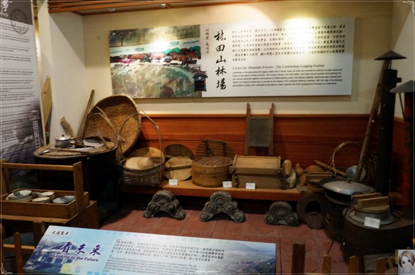林田山林業文化園區：[花蓮爆點一日遊]花蓮 林田山文化林場~沉浸檜木香於小九份
