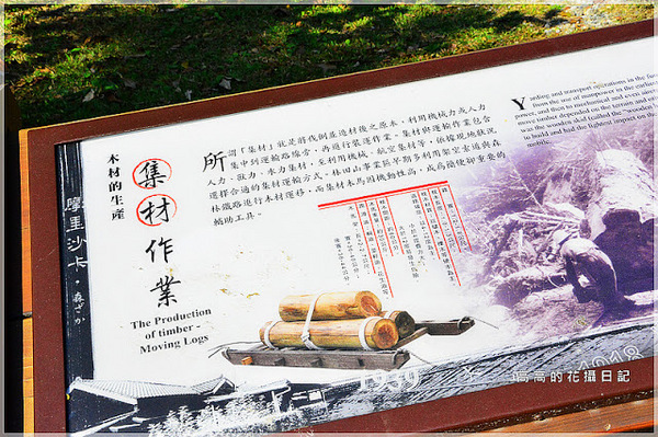 林田山林業文化園區:【花蓮】鳳林鎮。林田山林業文化園區