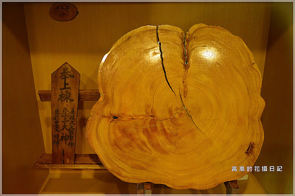 林田山林業文化園區:【花蓮】鳳林鎮。林田山林業文化園區