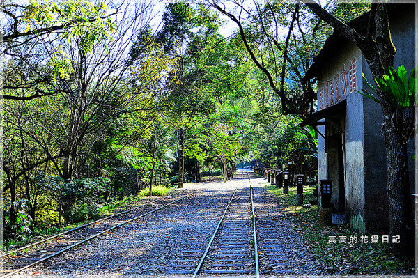 林田山林業文化園區:【花蓮】鳳林鎮。林田山林業文化園區