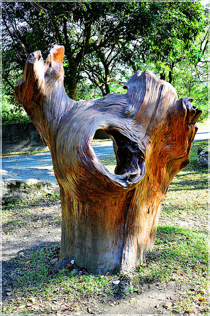 林田山林業文化園區:【花蓮】鳳林鎮。林田山林業文化園區