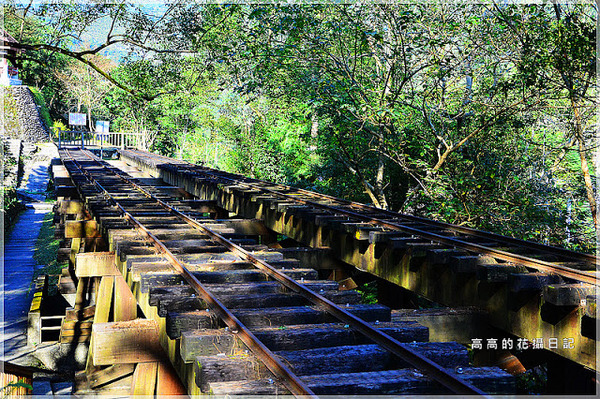林田山林業文化園區:【花蓮】鳳林鎮。林田山林業文化園區